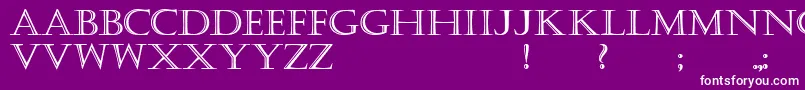KastellarBold Font – White Fonts on Purple Background