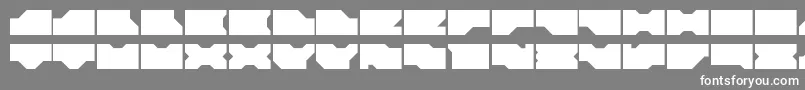Ldr0 Font – White Fonts on Gray Background