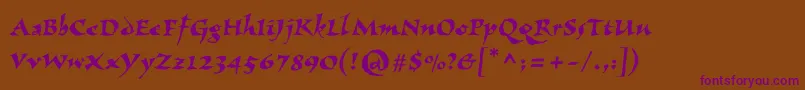Vizac Font – Purple Fonts on Brown Background