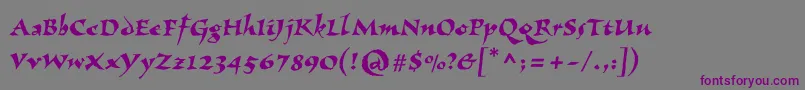 Vizac Font – Purple Fonts on Gray Background