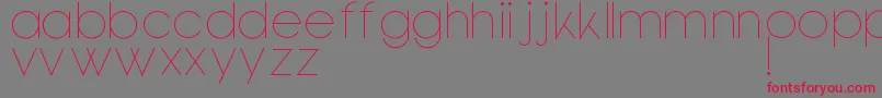 Bondoluopeek Font – Red Fonts on Gray Background