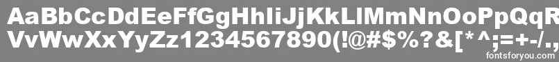 フォントAriblk0 – 灰色の背景に白い文字