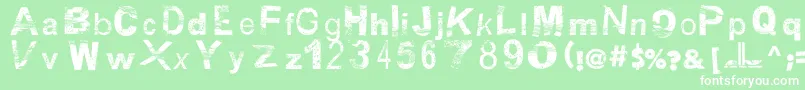 BsbDf50 Font – White Fonts on Green Background