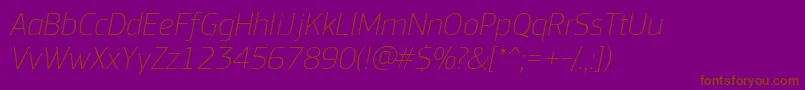 PfsquaresansproThinitalic Font – Brown Fonts on Purple Background