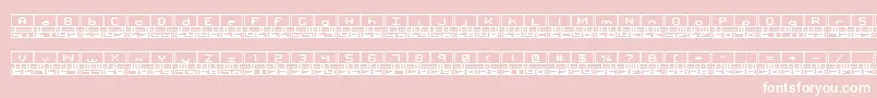 Binaryt Font – White Fonts on Pink Background