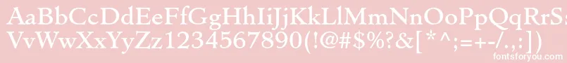 MinisterstdBook Font – White Fonts on Pink Background