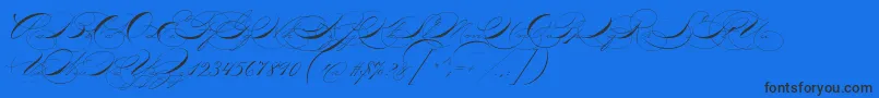 P22zanerone-Schriftart – Schwarze Schriften auf blauem Hintergrund