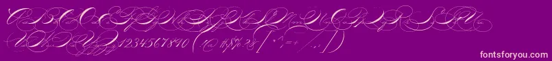 P22zanerone Font – Pink Fonts on Purple Background