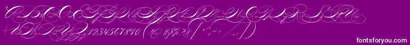 P22zanerone-Schriftart – Weiße Schriften auf violettem Hintergrund