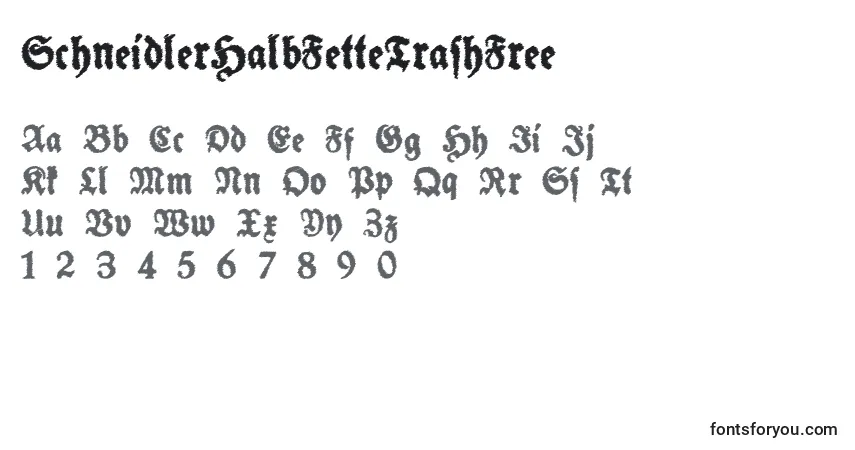Шрифт SchneidlerHalbFetteTrashFree (37838) – алфавит, цифры, специальные символы