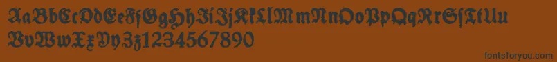 SchneidlerHalbFetteTrashFree Font – Black Fonts on Brown Background