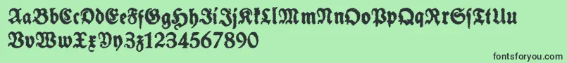 フォントSchneidlerHalbFetteTrashFree – 緑の背景に黒い文字