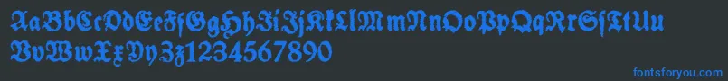 フォントSchneidlerHalbFetteTrashFree – 黒い背景に青い文字