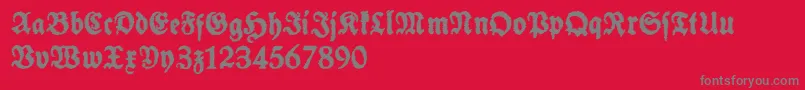 SchneidlerHalbFetteTrashFree Font – Gray Fonts on Red Background
