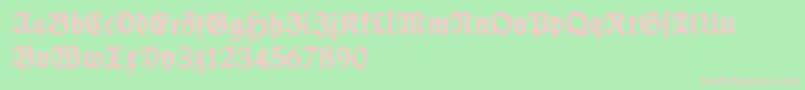 SchneidlerHalbFetteTrashFree-fontti – vaaleanpunaiset fontit vihreällä taustalla