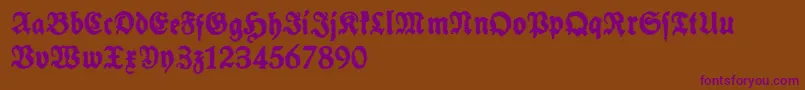 SchneidlerHalbFetteTrashFree Font – Purple Fonts on Brown Background