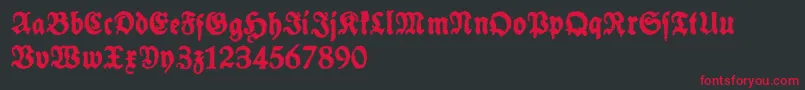 SchneidlerHalbFetteTrashFree Font – Red Fonts on Black Background