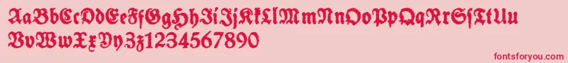 SchneidlerHalbFetteTrashFree Font – Red Fonts on Pink Background