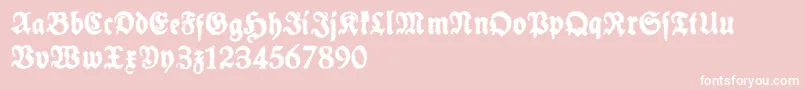 SchneidlerHalbFetteTrashFree-fontti – valkoiset fontit vaaleanpunaisella taustalla