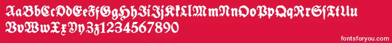 SchneidlerHalbFetteTrashFree-Schriftart – Weiße Schriften auf rotem Hintergrund
