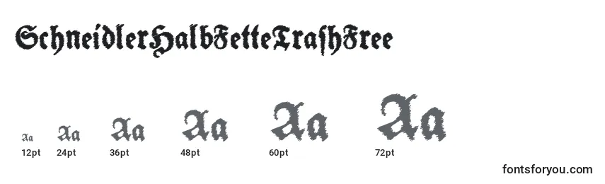 Размеры шрифта SchneidlerHalbFetteTrashFree (37838)