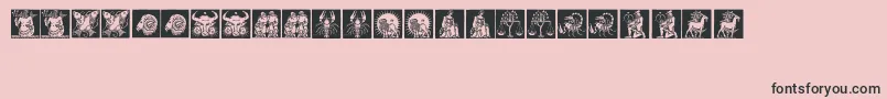 Tierkreis1 Font – Black Fonts on Pink Background