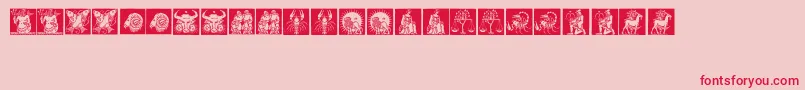 Tierkreis1 Font – Red Fonts on Pink Background