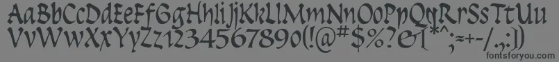 Insula-Schriftart – Schwarze Schriften auf grauem Hintergrund