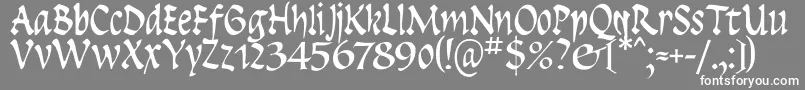 Insula Font – White Fonts on Gray Background