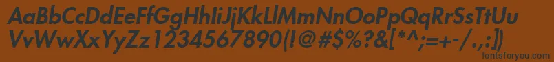 FuturaLtHeavyOblique Font – Black Fonts on Brown Background