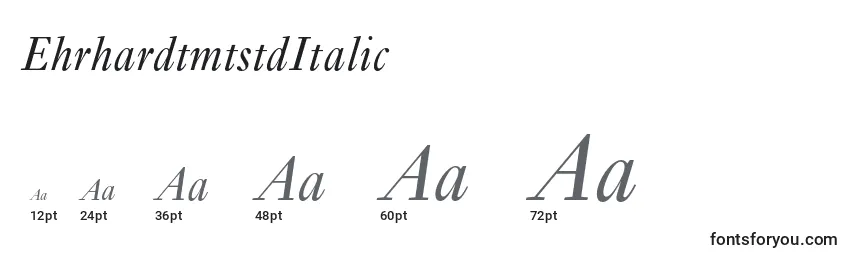 Размеры шрифта EhrhardtmtstdItalic