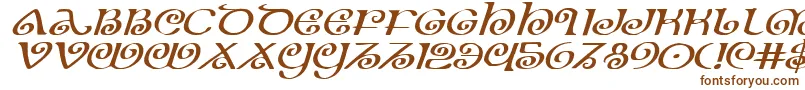 Theshireexpi Font – Brown Fonts on White Background