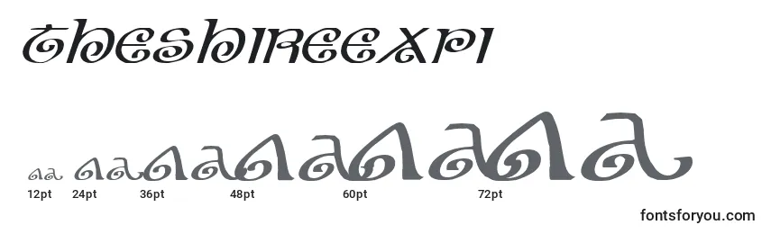 Theshireexpi Font Sizes