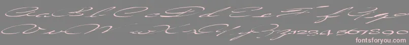 フォントCountrylove3RegularTtext – 灰色の背景にピンクのフォント