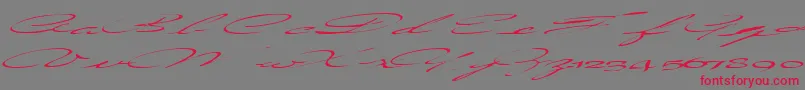 Więcej informacji o czcionce Countrylove3RegularTtext Czcionka Countrylove3RegularTtext – czerwone czcionki na szarym tle
