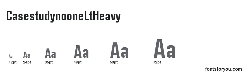 CasestudynooneLtHeavy Font Sizes