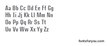 CasestudynooneLtHeavy Font