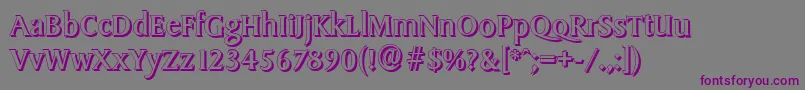 SydneyshadowRegular Font – Purple Fonts on Gray Background