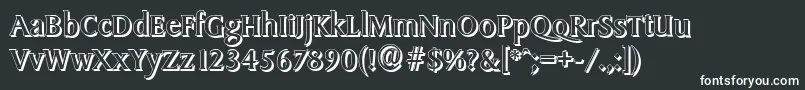 SydneyshadowRegular Font – White Fonts