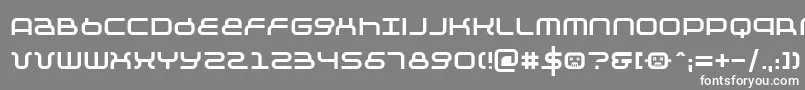 Negative12 Font – White Fonts on Gray Background