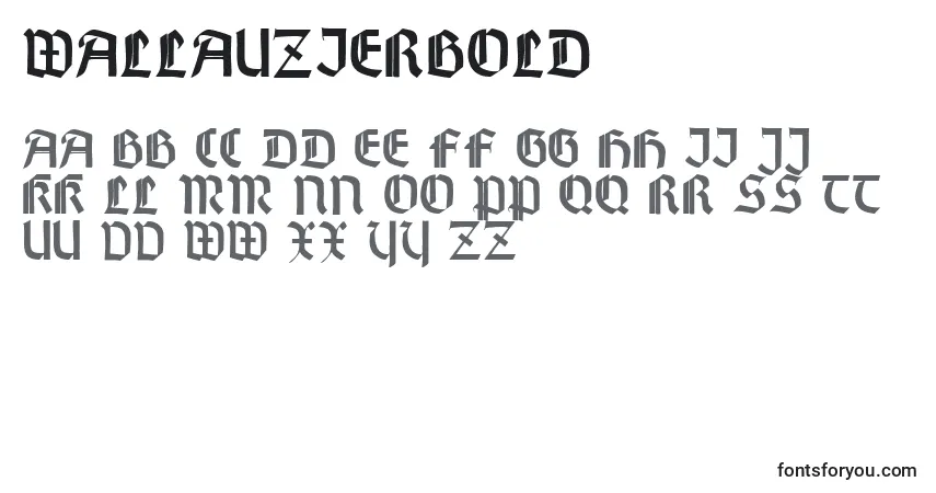 A fonte WallauZierBold – alfabeto, números, caracteres especiais