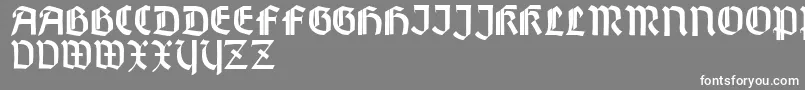 WallauZierBold Font – White Fonts on Gray Background