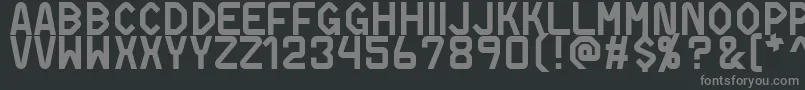 フォントDifferentiatorMsWindows1250CentralEuropean – 黒い背景に灰色の文字