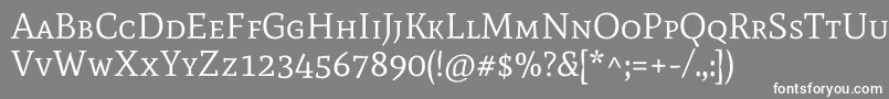MatescRegular Font – White Fonts on Gray Background