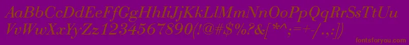 QtbodiniItalic Font – Brown Fonts on Purple Background