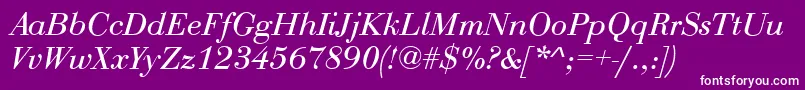 QtbodiniItalic Font – White Fonts on Purple Background