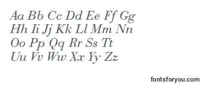 QtbodiniItalic フォントのレビュー