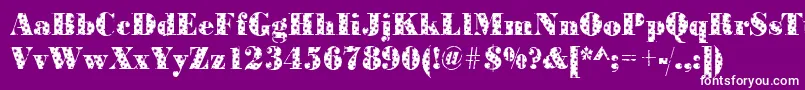 BodonistarsRegular Font – White Fonts on Purple Background
