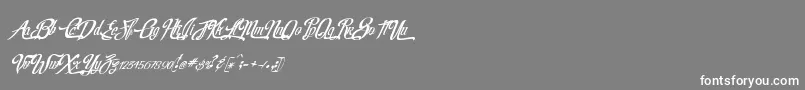 RealprizesVeryitalic Font – White Fonts on Gray Background