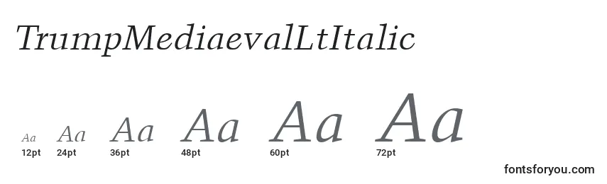 Размеры шрифта TrumpMediaevalLtItalic